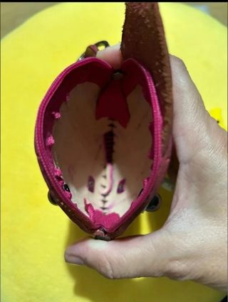 Monedero pez