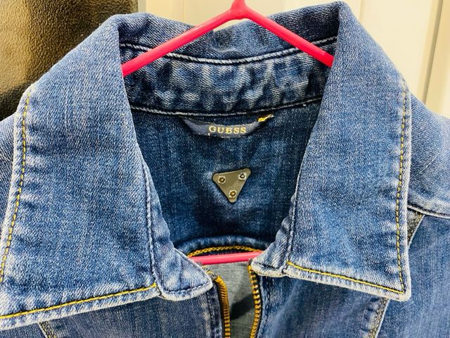 Mono vaquero corto guess