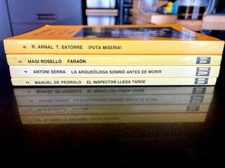 lote libros novela negra española