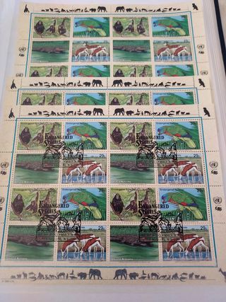 Álbum Naciones unidas nueva York