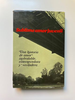 Libro: Sublime amor juvenil