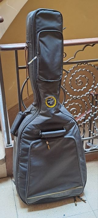 Guitarra Acústica Washburn D10STS