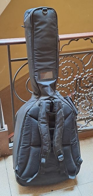 Guitarra Acústica Washburn D10STS