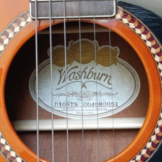 Guitarra Acústica Washburn D10STS