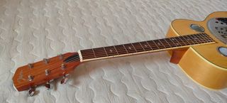 Guitarra dobro Johnson