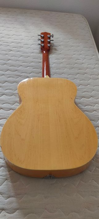 Guitarra dobro Johnson