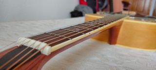 Guitarra dobro Johnson