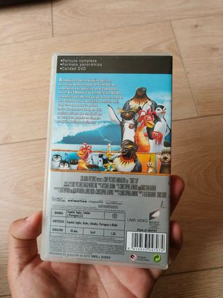 Juego PSP - Locos por el surf