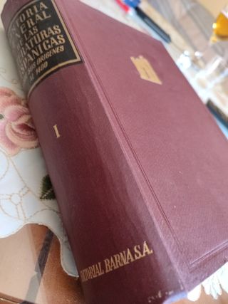 Historia General literaturas hispánicas