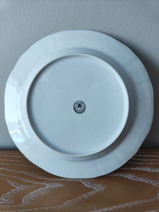 Plato Porzellan Dekor Fine