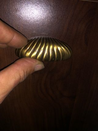 tiradores concha vintage retro