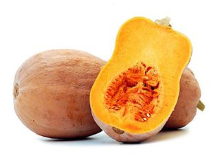 Semi selezionati di Zucca Violina. 20 pz