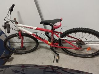 Bicicleta de 24