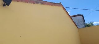 Pintores decoradores