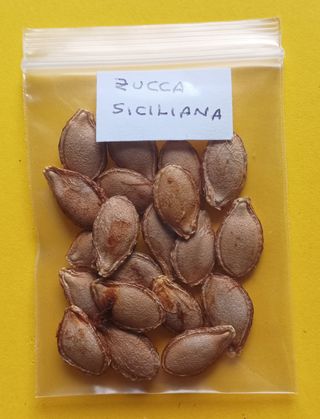 Semi selezionati di Zucca Rossa Siciliana. 20 pz