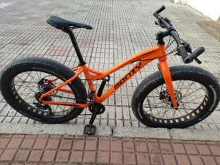 Fat bike marca MONTY