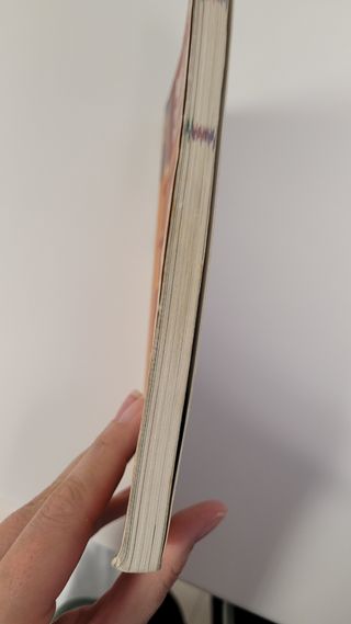 Guia viaje Amsterdam.