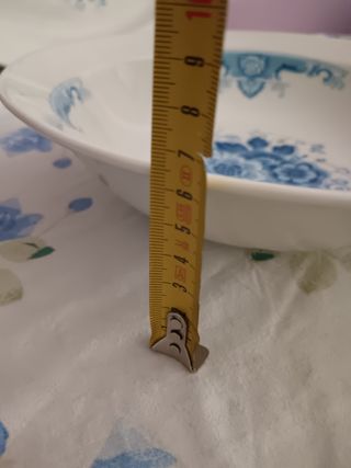 Piatto grande fondo porzellan made in bu