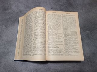 DIZIONARIO ITALIANO-INGLESE / INGLESE-ITALIANO