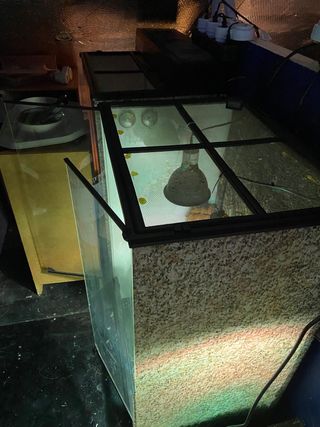 TERRARIO EXOTERRA 60x45x90