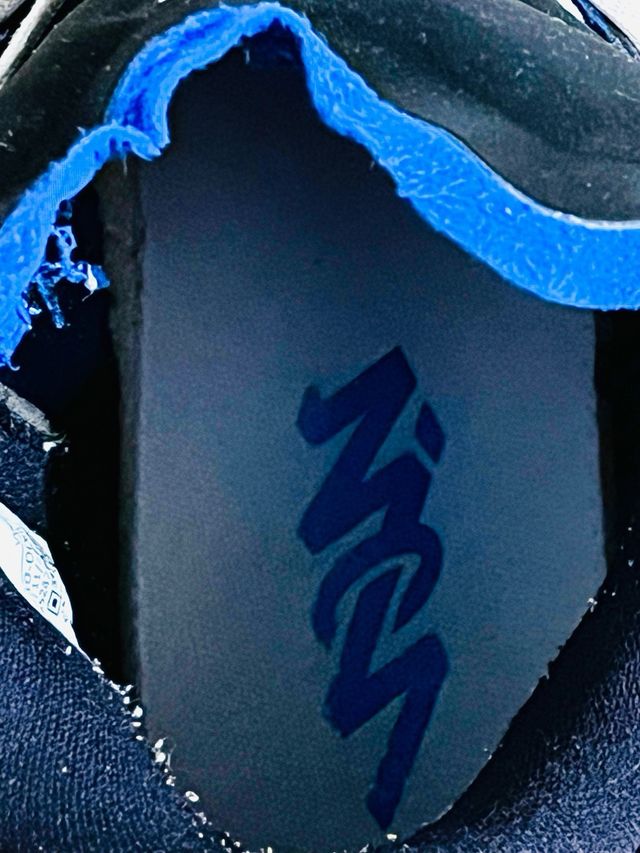 Nike Air Jordan 1 Zion 👟