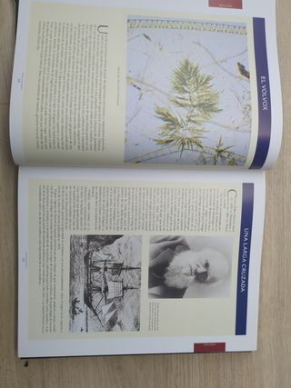 ENCICLOPEDIA TEMÁTICA ESPASA 2 volumenes