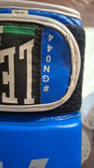 Guantoni boxe Leone 10 oz