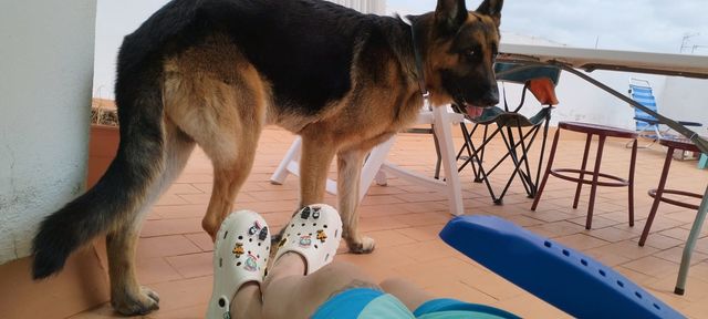 Pines para Crocs Breaking Bad