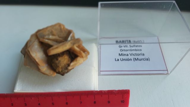 Minerales de colección. En urna 6x4cm.