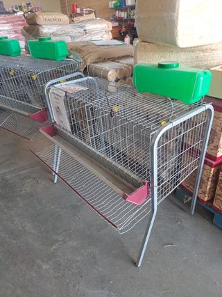 Jaula 6 a 10 gallinas ponedoras 🐓🐓