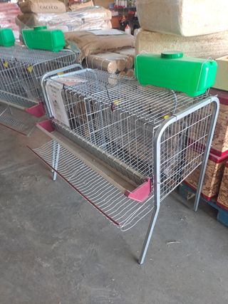 Jaula 6 a 10 gallinas ponedoras 🐓🐓