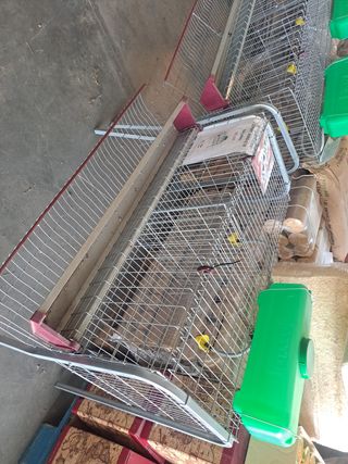 Jaula 6 a 10 gallinas ponedoras 🐓🐓