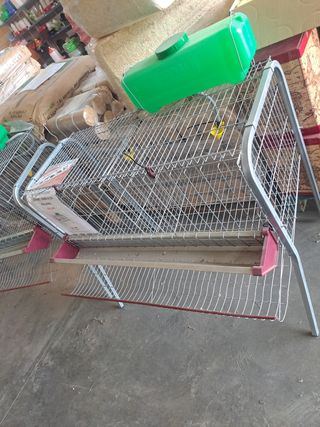 Jaula 6 a 10 gallinas ponedoras 🐓🐓