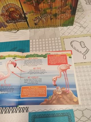 Colección de animales de la selva