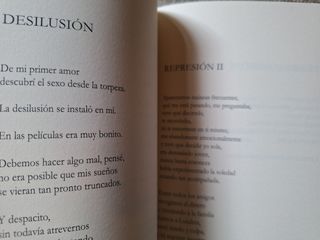 La funambulista. Poemario