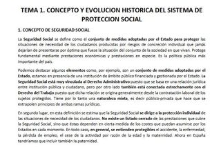 Apuntes Derecho de la SS, UCM
