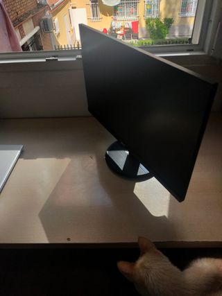 Pantalla ordenador