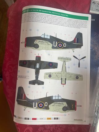 MAQUETA AVIÓN FM-2 WILDER CAT LIMITED EDITION