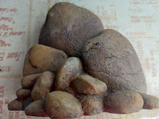 Terrareo vertical, hábitat Kit