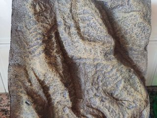 Terrareo vertical, hábitat Kit