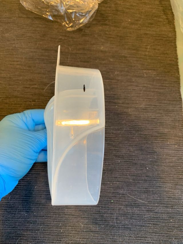 Vaschetta per manicure