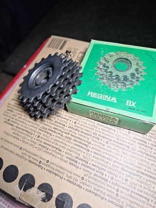 Piñón Vintage Regina 18-22 5 V del 84