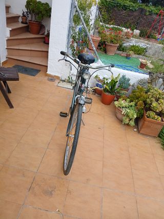 Bicicleta vintage holandesa ruedas hibri