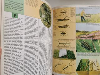Guia de naturaleza 8€/Manual naturalista 18€-2x24€