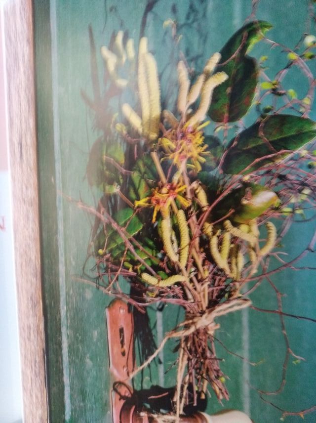 LANDLUST (TEXTO EN ALEMAN) DE 2024