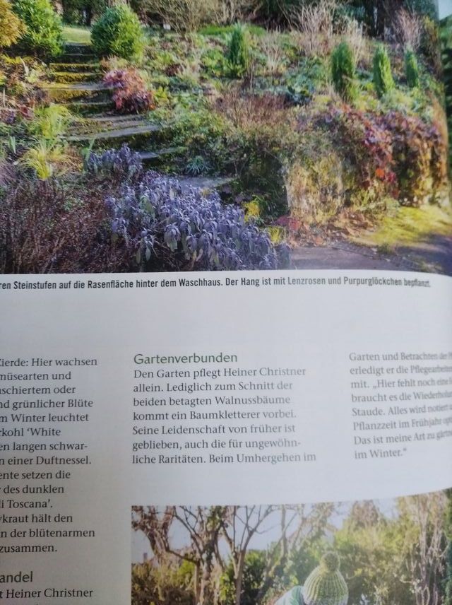 LANDLUST (TEXTO EN ALEMAN) DE 2024