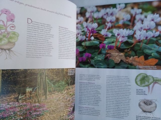 LANDLUST (TEXTO EN ALEMAN) DE 2024