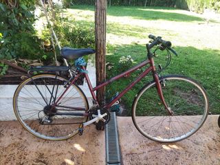 Bici
