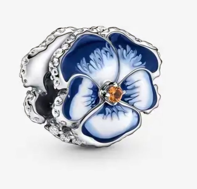 PANDORA PULSERA Y CHARMS