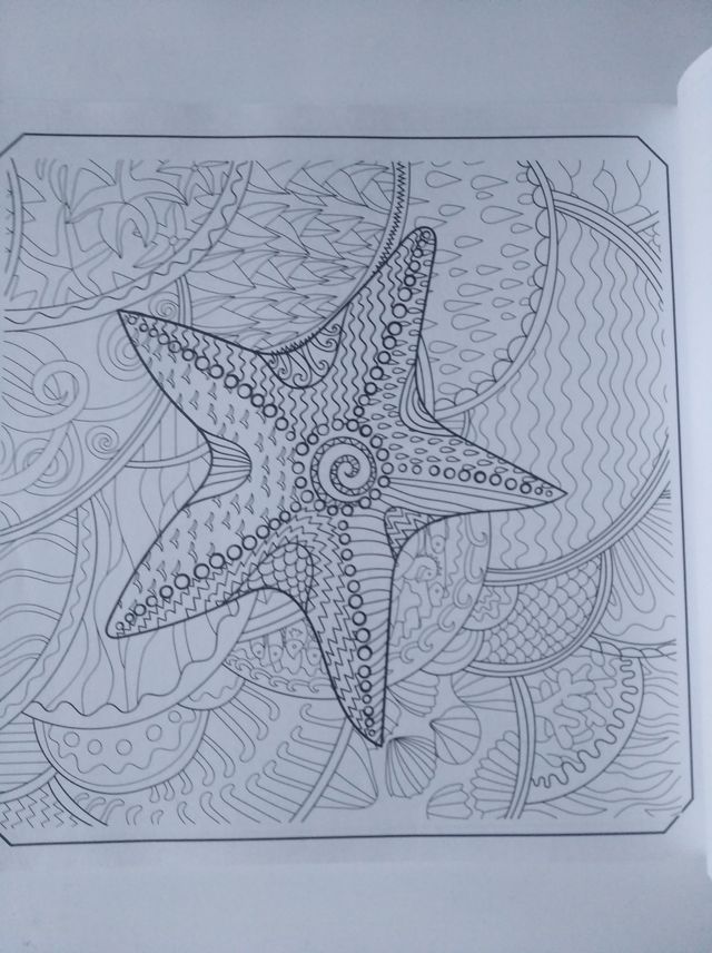 MALBUCH , ZENDOODLES (INTACTO) , Alemán